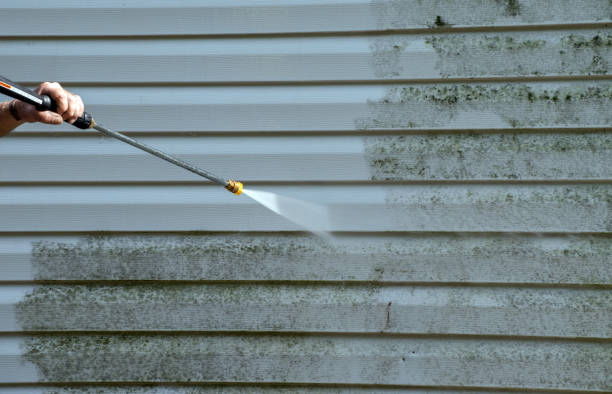 Mold Removal Process in Fort Belknap Agency, MT